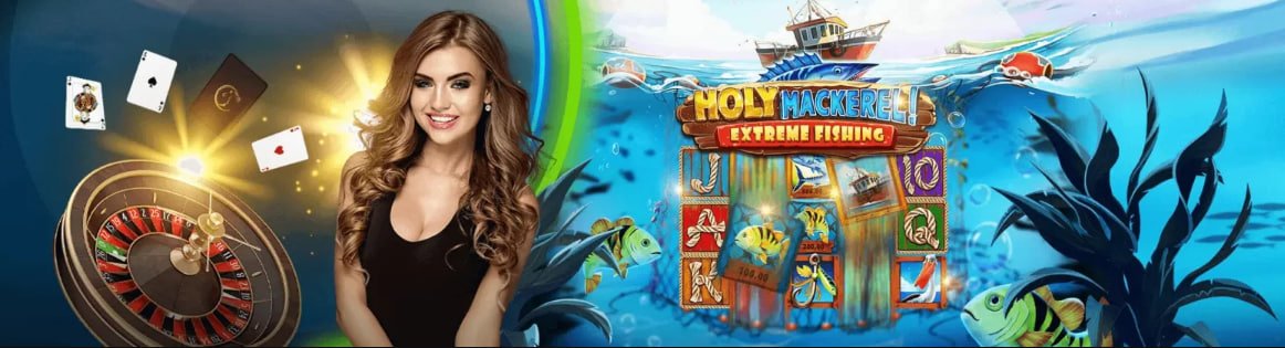 Chơi cá cược bóng đá và casino live tại mn66 trên thiết bị mobile
